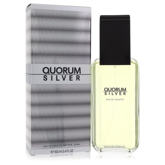 Quorum Silver         Eau De Toilette Spray         Men       100 ml-0